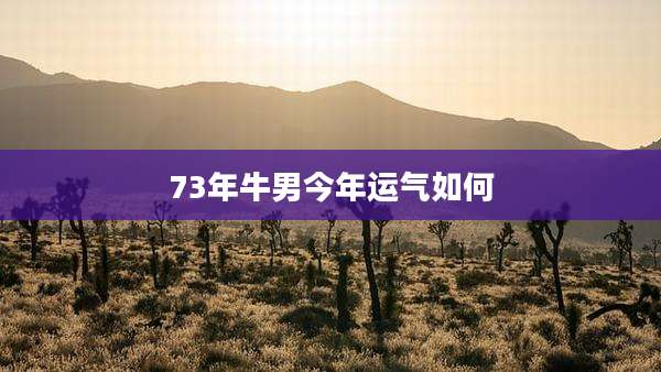73年牛男今年运气如何