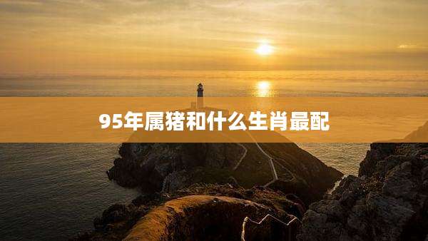 95年属猪和什么生肖最配