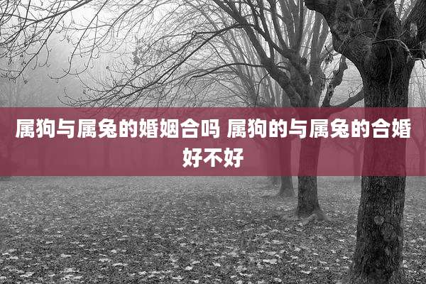 属狗与属兔的婚姻合吗 属狗的与属兔的合婚好不好