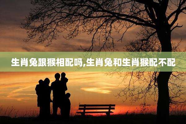 生肖兔跟猴相配吗,生肖兔和生肖猴配不配