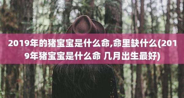2019年的猪宝宝是什么命,命里缺什么(2019年猪宝宝是什么命 几月出生最好)