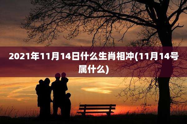2021年11月14日什么生肖相冲(11月14号属什么)