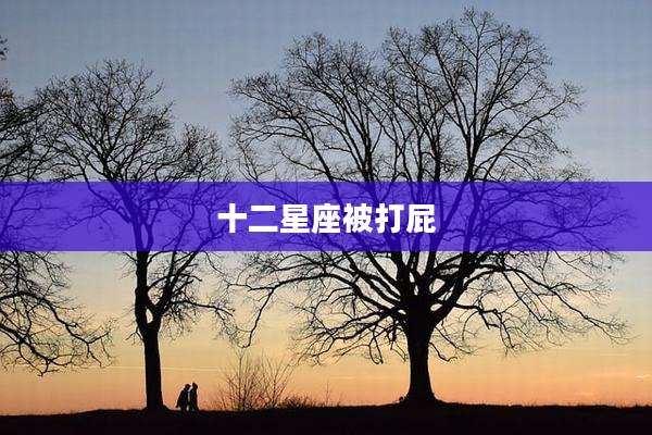 十二星座被打屁