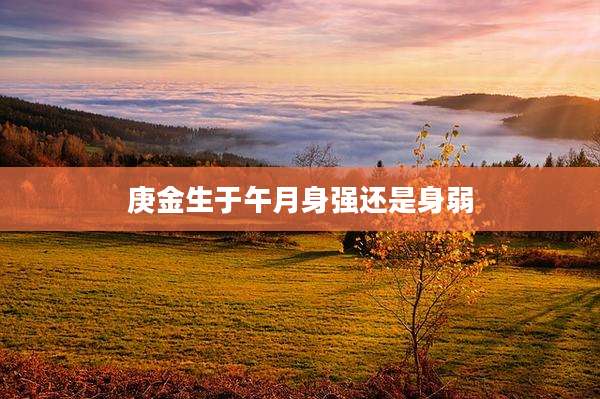 庚金生于午月身强还是身弱