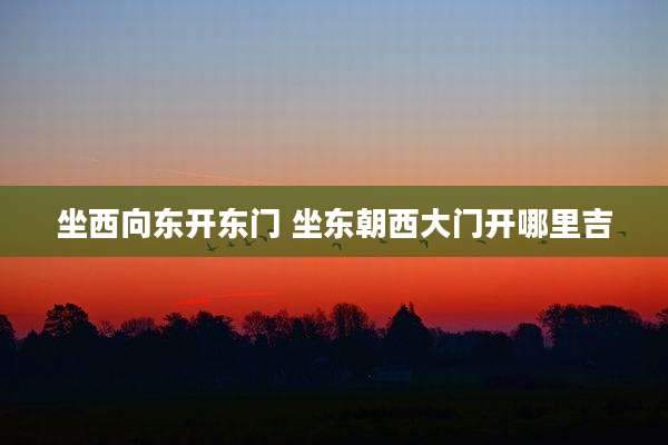 坐西向东开东门 坐东朝西大门开哪里吉
