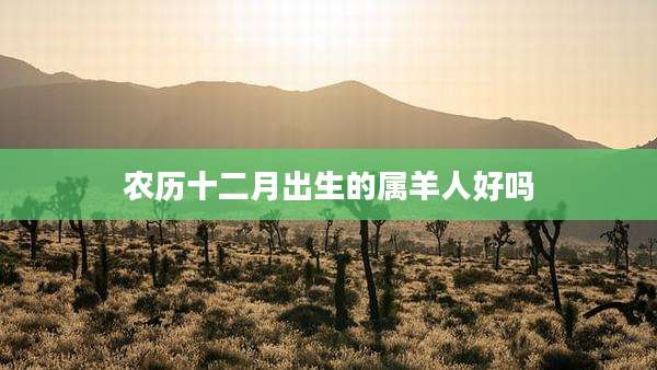 农历十二月出生的属羊人好吗