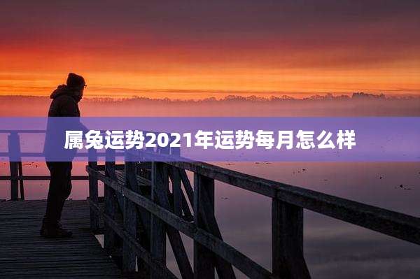 属兔运势2021年运势每月怎么样