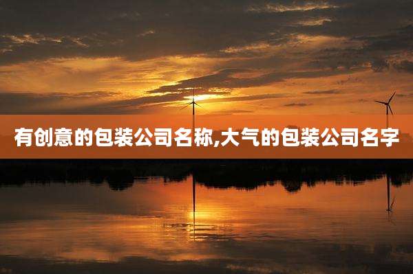 有创意的包装公司名称,大气的包装公司名字