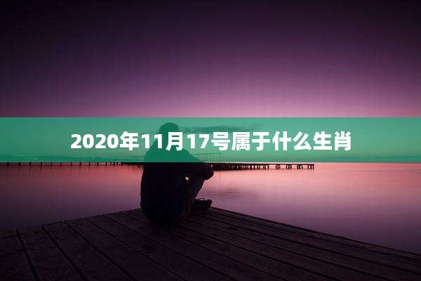 2020年11月17号属于什么生肖