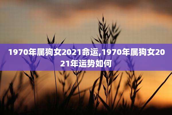 1970年属狗女2021命运,1970年属狗女2021年运势如何