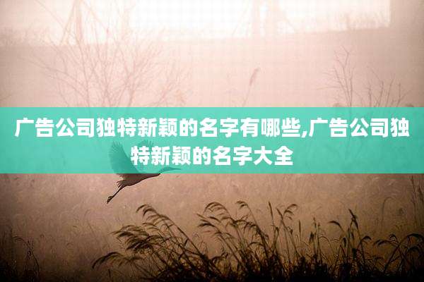广告公司独特新颖的名字有哪些,广告公司独特新颖的名字大全