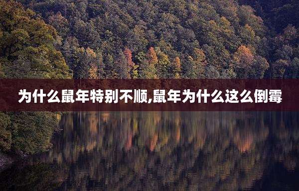 为什么鼠年特别不顺,鼠年为什么这么倒霉