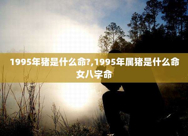 1995年猪是什么命?,1995年属猪是什么命女八字命