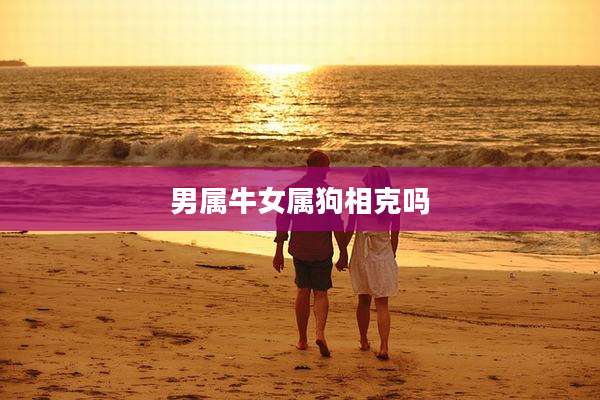 男属牛女属狗相克吗