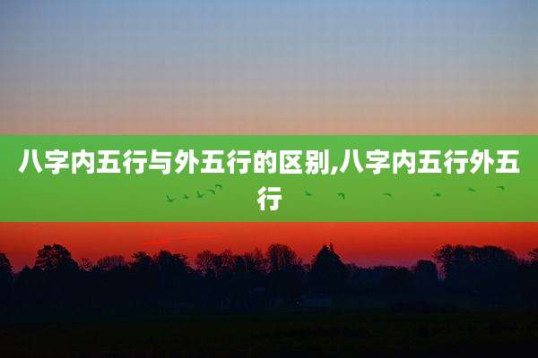 八字内五行与外五行的区别,八字内五行外五行