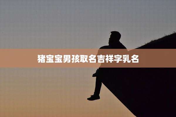 猪宝宝男孩取名吉祥字乳名