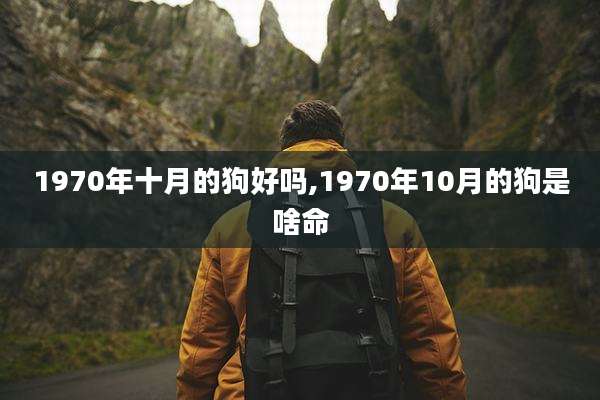 1970年十月的狗好吗,1970年10月的狗是啥命
