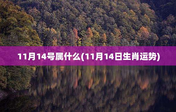11月14号属什么(11月14日生肖运势)