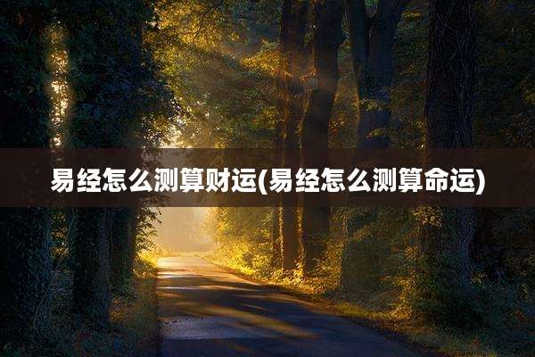 易经怎么测算财运(易经怎么测算命运)