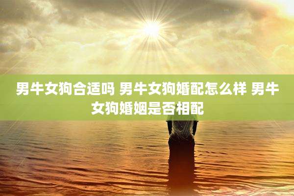 男牛女狗合适吗 男牛女狗婚配怎么样 男牛女狗婚姻是否相配
