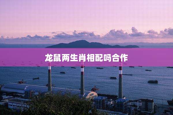 龙鼠两生肖相配吗合作