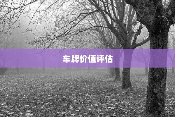 车牌价值评估