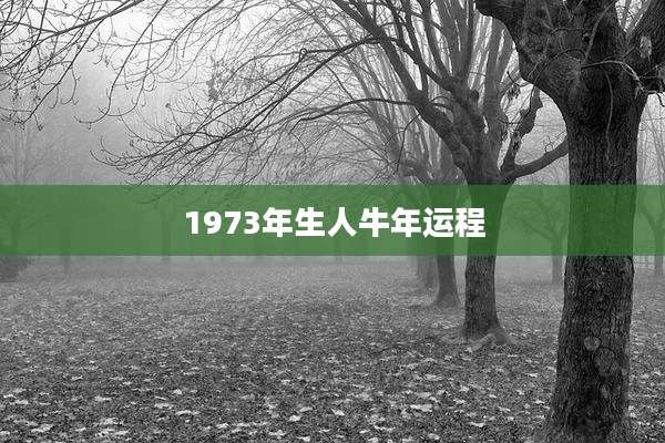 1973年生人牛年运程