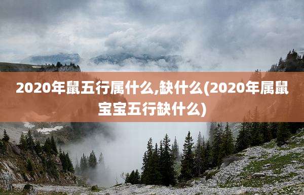 2020年鼠五行属什么,缺什么(2020年属鼠宝宝五行缺什么)