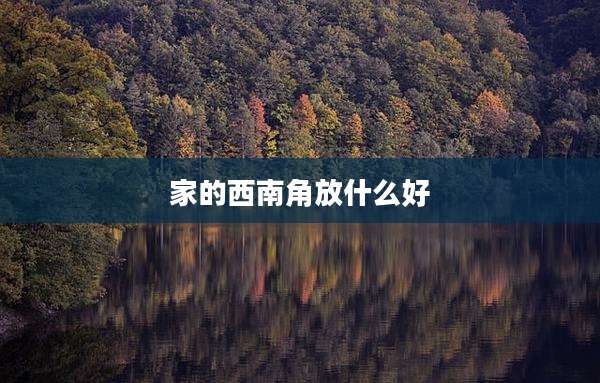 家的西南角放什么好