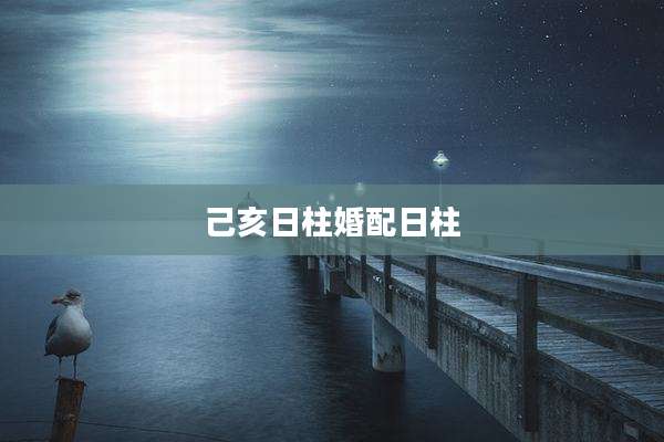 己亥日柱婚配日柱