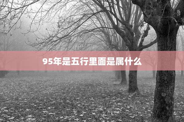 95年是五行里面是属什么