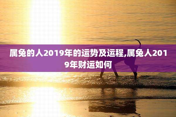 属兔的人2019年的运势及运程,属兔人2019年财运如何