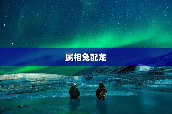 属相兔配龙