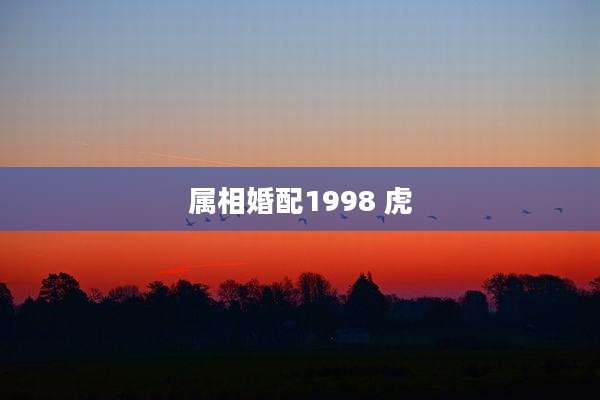 属相婚配1998 虎