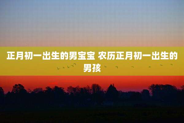 正月初一出生的男宝宝 农历正月初一出生的男孩