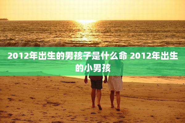 2012年出生的男孩子是什么命 2012年出生的小男孩