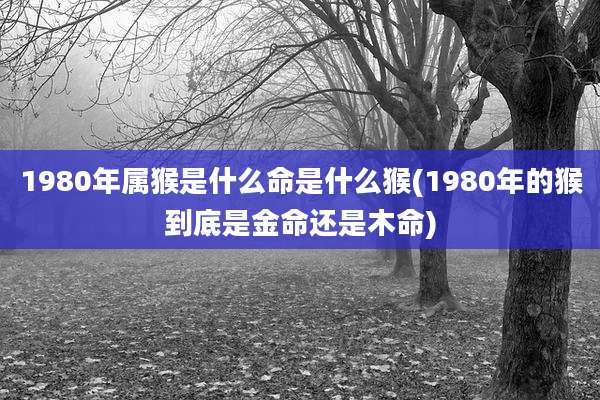 1980年属猴是什么命是什么猴(1980年的猴到底是金命还是木命)