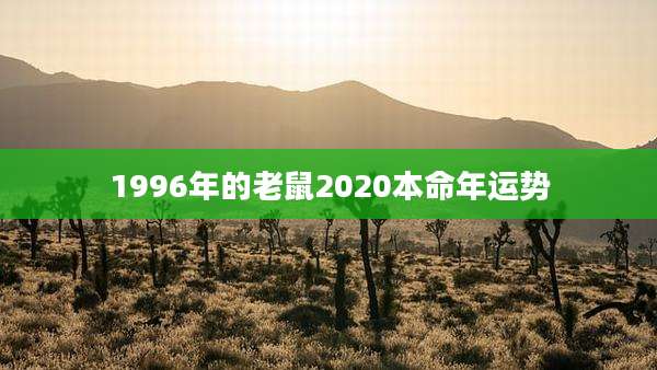 1996年的老鼠2020本命年运势