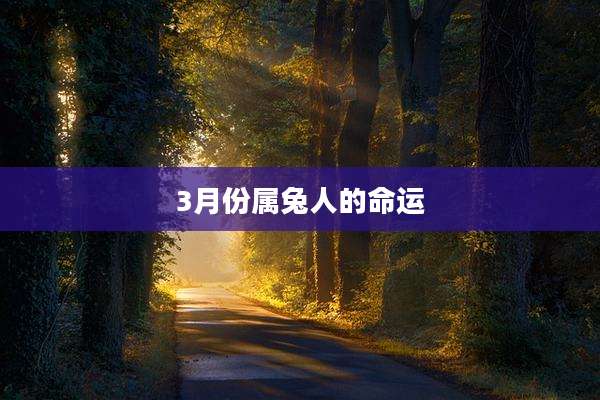 3月份属兔人的命运