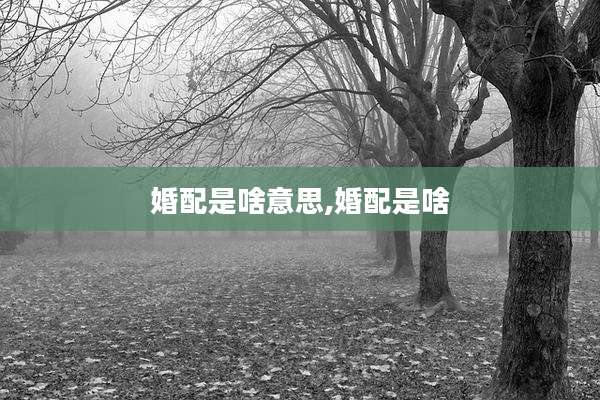 婚配是啥意思,婚配是啥