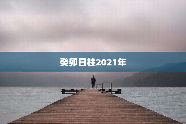 癸卯日柱2021年