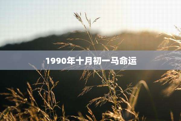 1990年十月初一马命运
