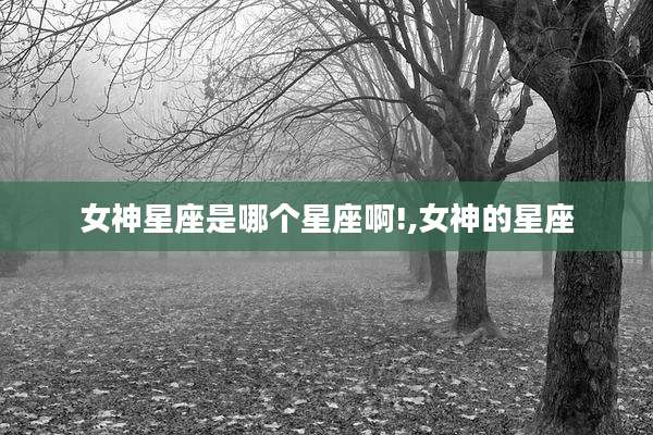 女神星座是哪个星座啊!,女神的星座