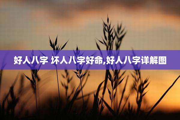 好人八字 坏人八字好命,好人八字详解图
