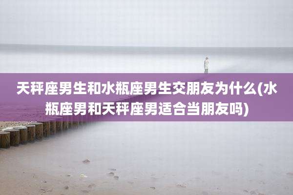 天秤座男生和水瓶座男生交朋友为什么(水瓶座男和天秤座男适合当朋友吗)