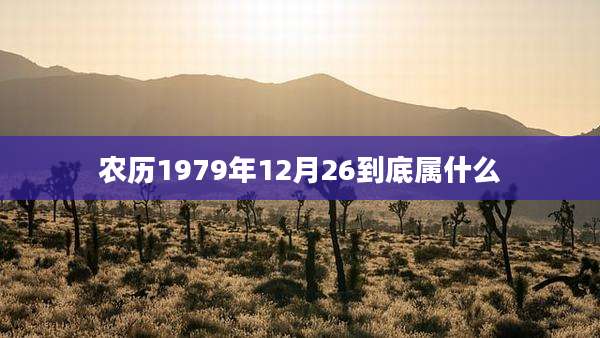 农历1979年12月26到底属什么