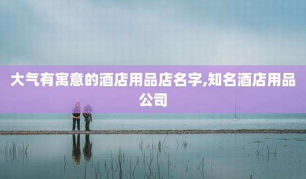 大气有寓意的酒店用品店名字,知名酒店用品公司
