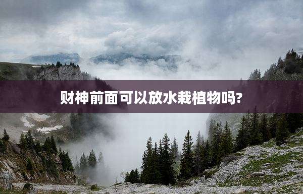 财神前面可以放水栽植物吗?