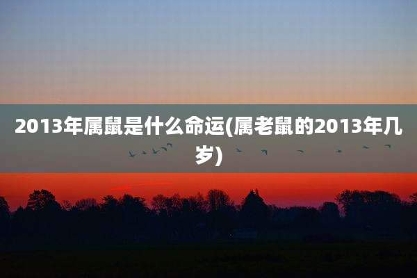 2013年属鼠是什么命运(属老鼠的2013年几岁)
