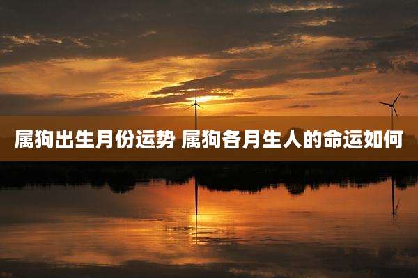 属狗出生月份运势 属狗各月生人的命运如何